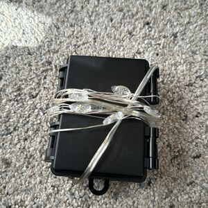 pineapple fairy lights